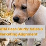 ABM Case Study